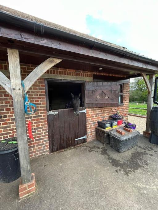The Stable, Grove End Farm Lägenhet Petworth Exteriör bild